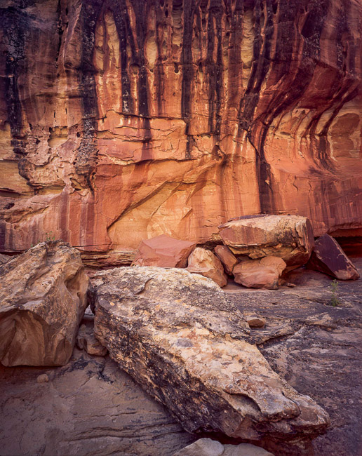 Alcove and Canyon Varnish