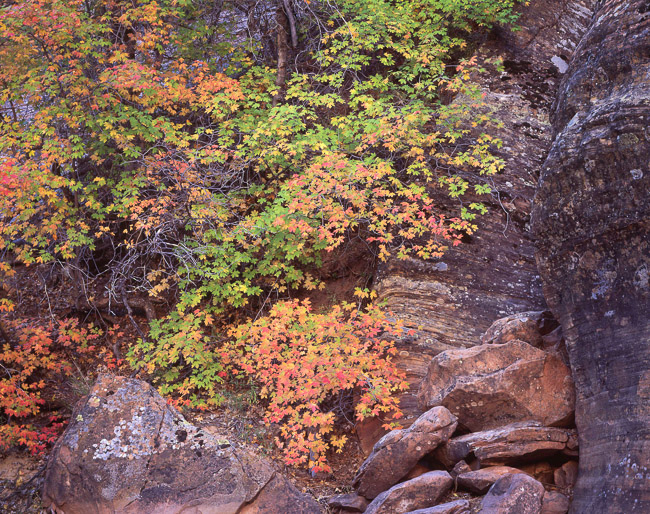 Hidden Passage and Fall Color