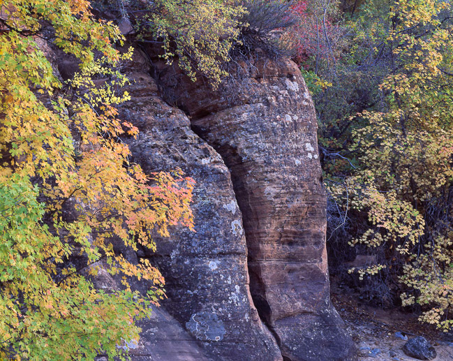 Crevice and Fall Color