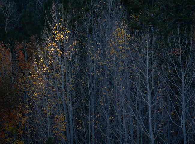 Aspen Last Light