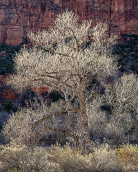 _IMG6600.jpg