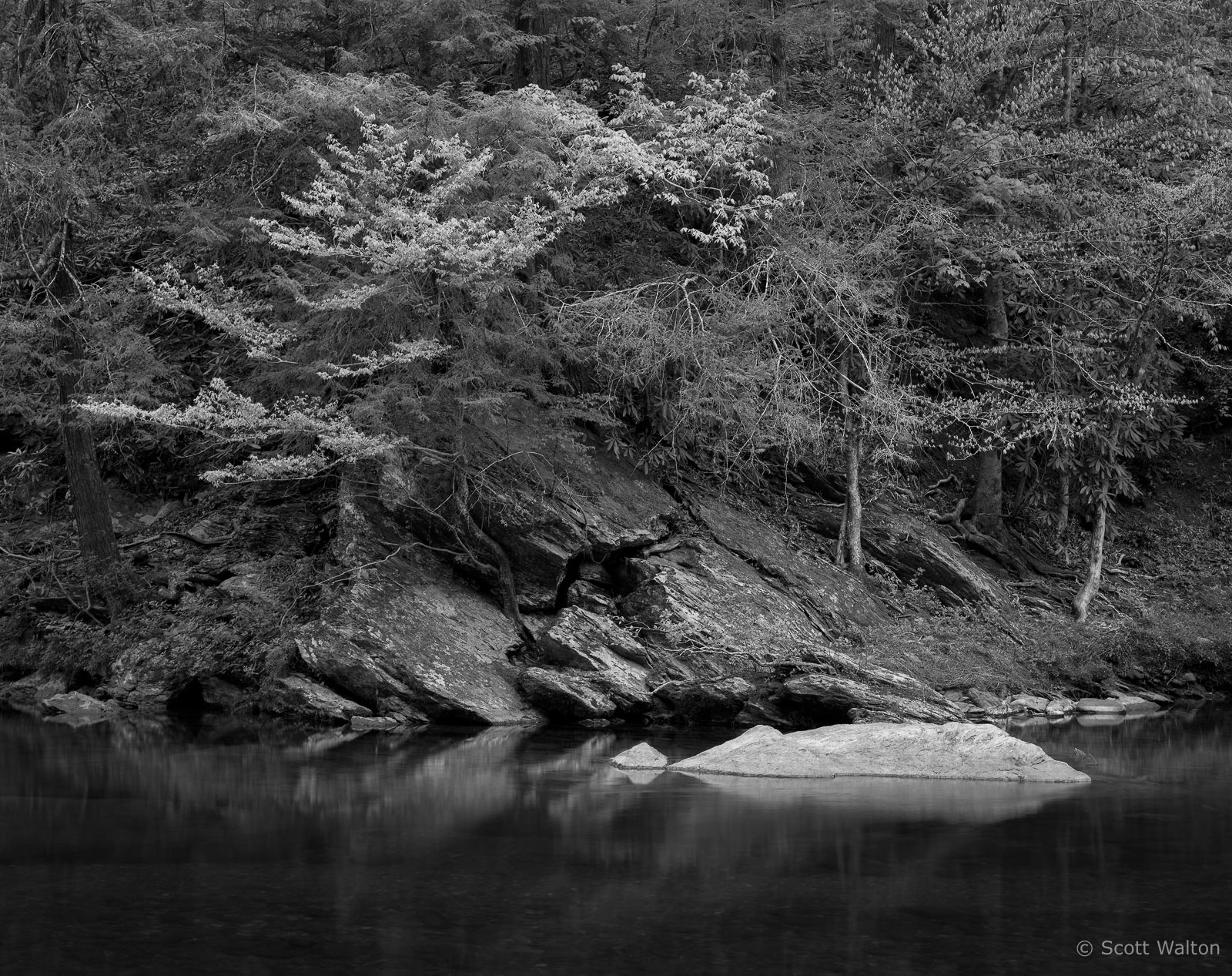 SmokiesLittleRIverTremontWhiteRock.jpg