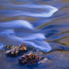 River Sunrise Reflections SmokiesOconolufteeRiverDetailLeaves-homescan-Provia.jpg