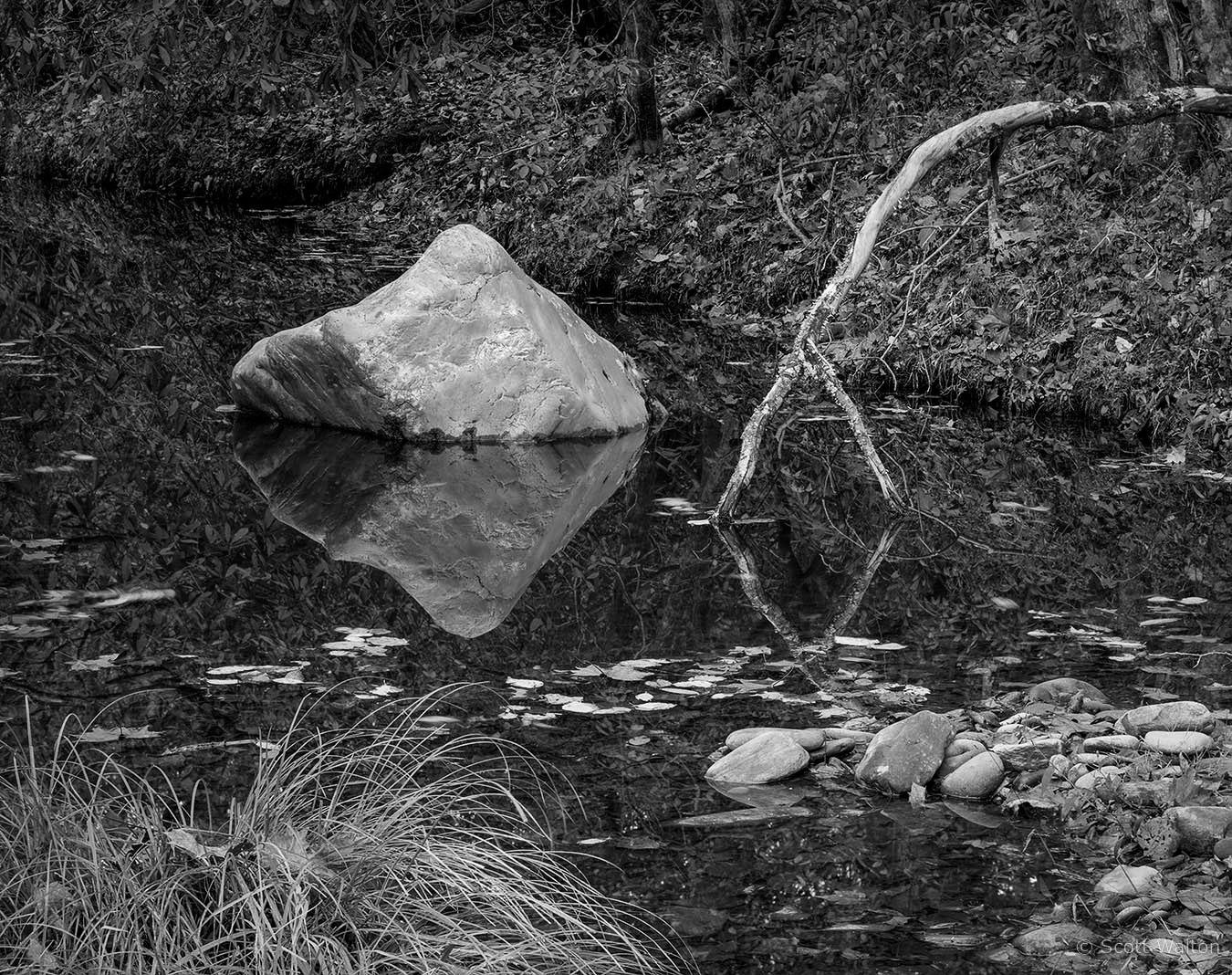 OcnonlufteeTriangleRock-Y-branch-tmax100.jpg