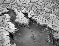 DVelevatedMudCracks-tmax400.jpg