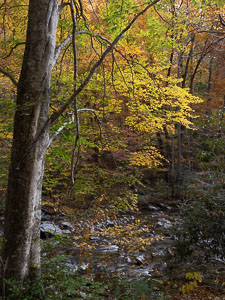 _IMG1489.jpg