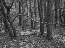 _IMG1920-Edit.jpg