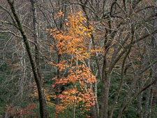 _IMG8643.jpg