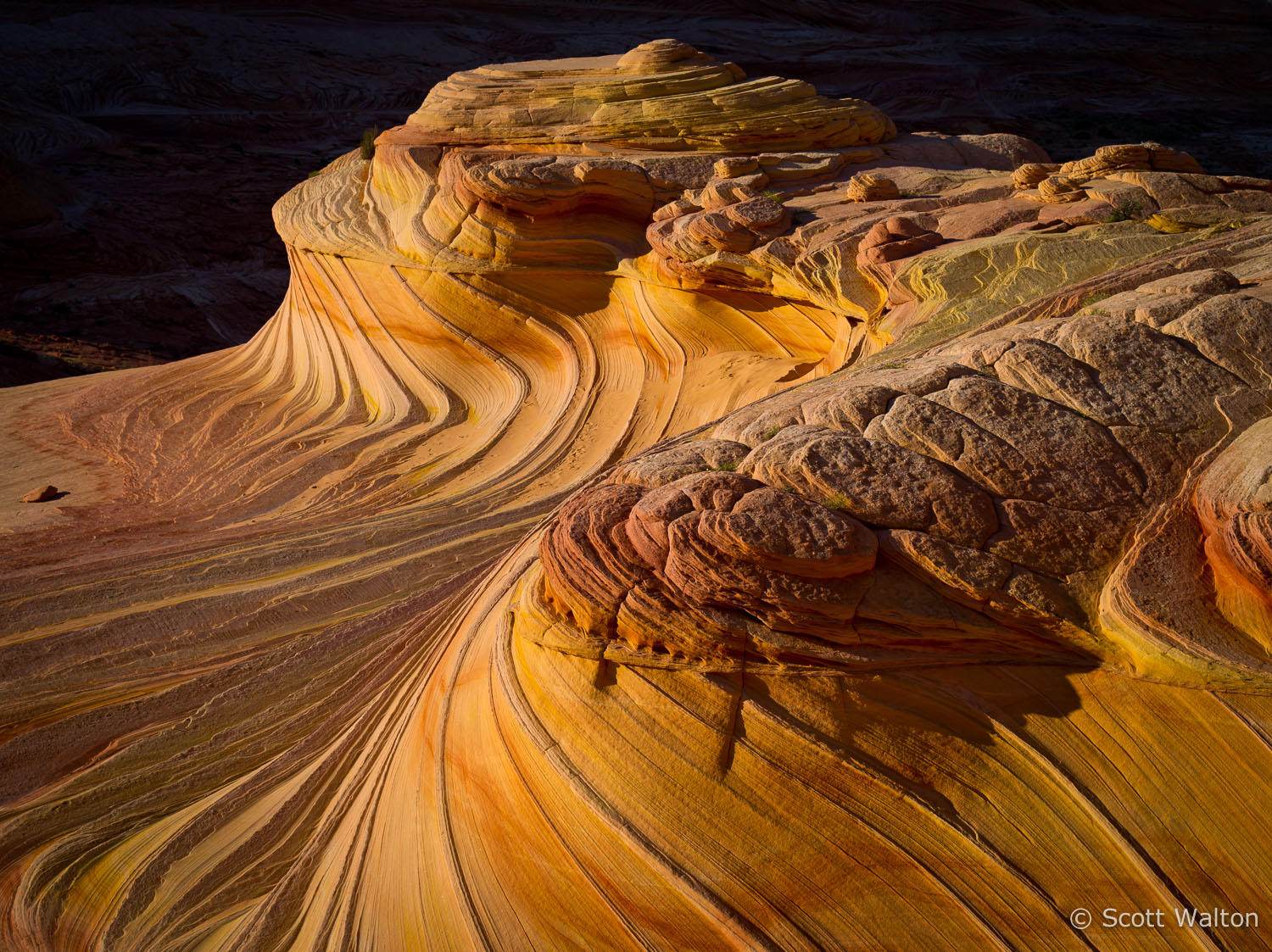 coyote-buttes-second-wave-arizona-ae.jpg