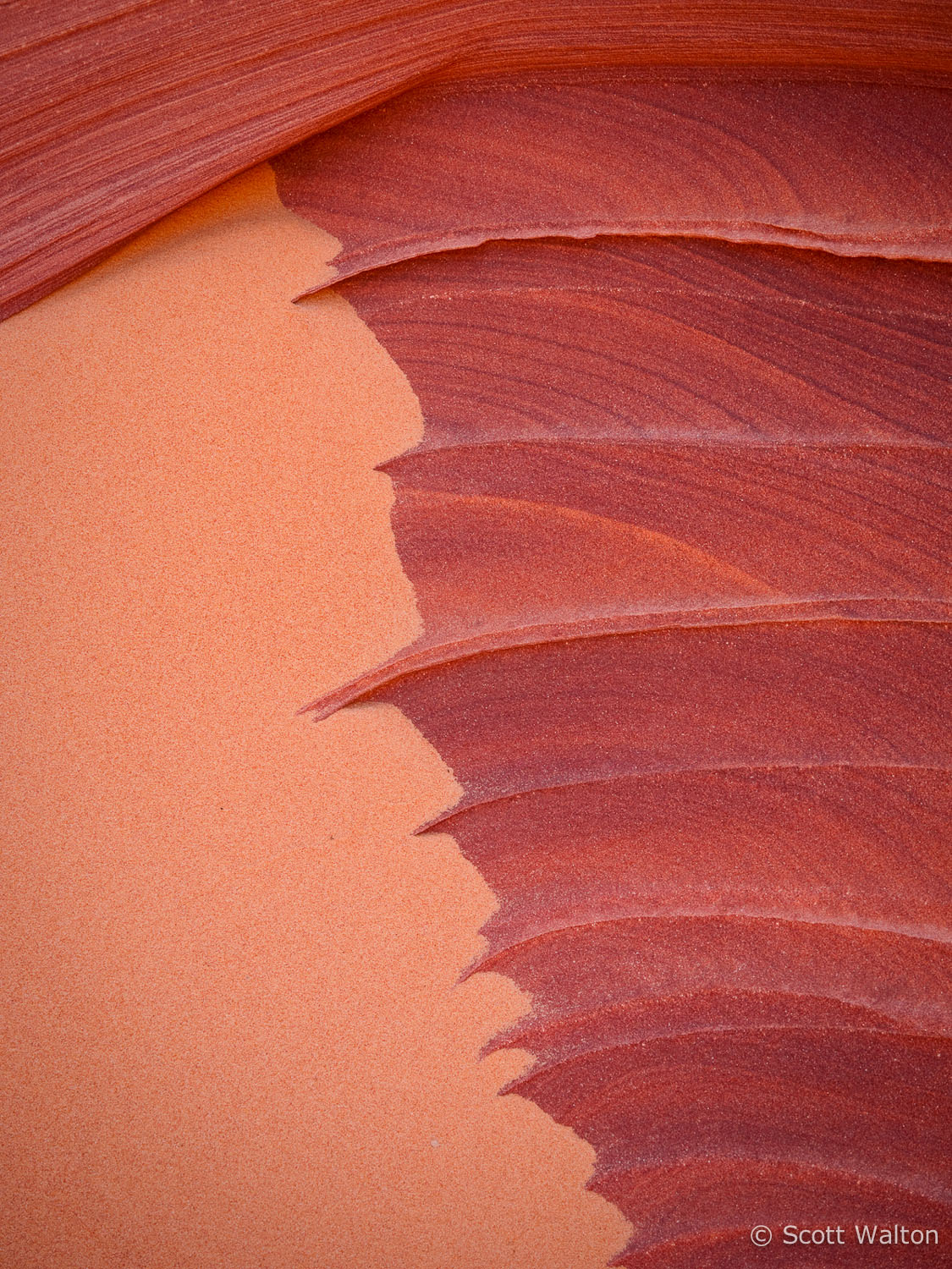 sand-sandstone-coyote-buttes-arizona-ae.jpg