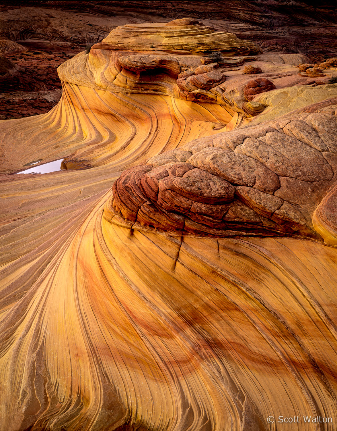 a-twist-in-time-coyote-buttes-arizona.jpg