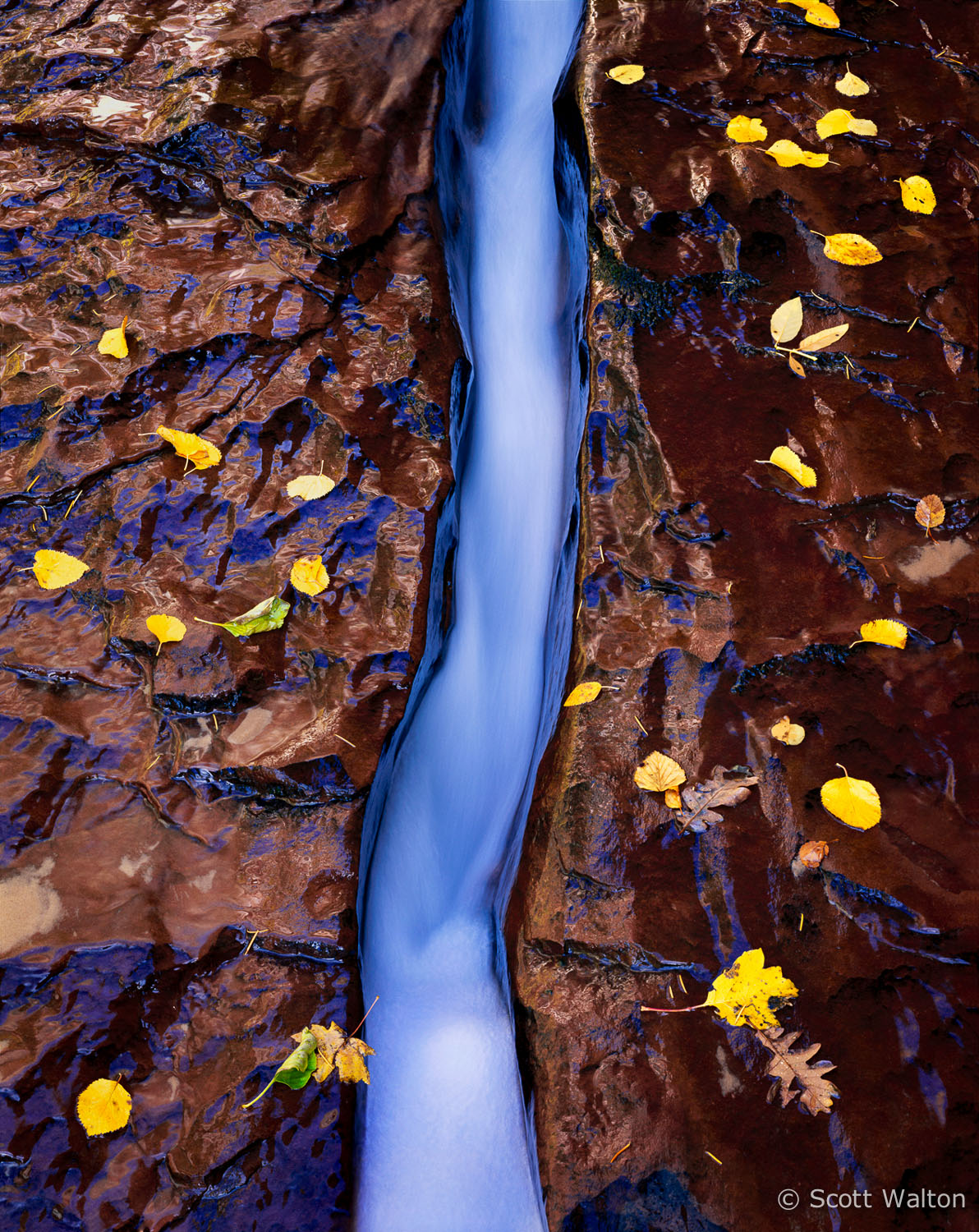 blue-ribbon-the-subway-zion-national-park-utah.jpg