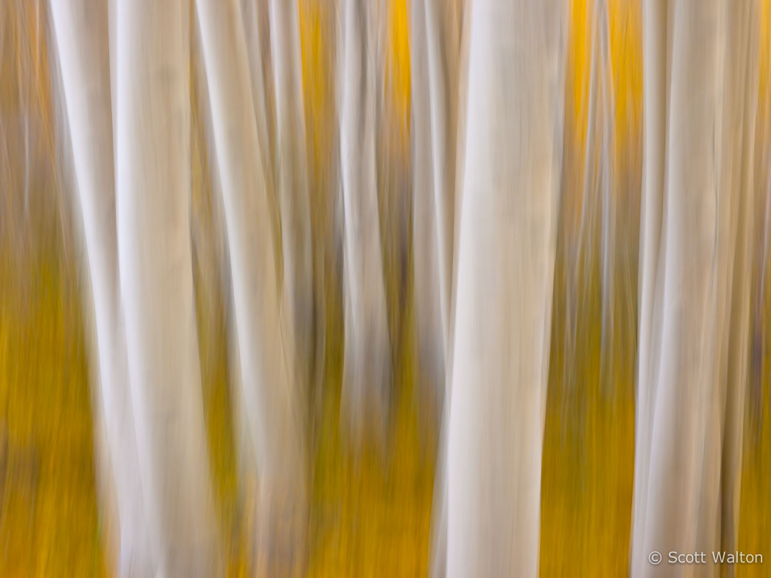 motion-blur-abstract-impression_1080448.jpg