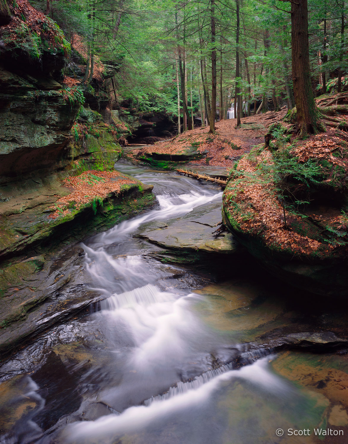 springtime-stream-hocking-hills-state-park-ohio_v1.jpg