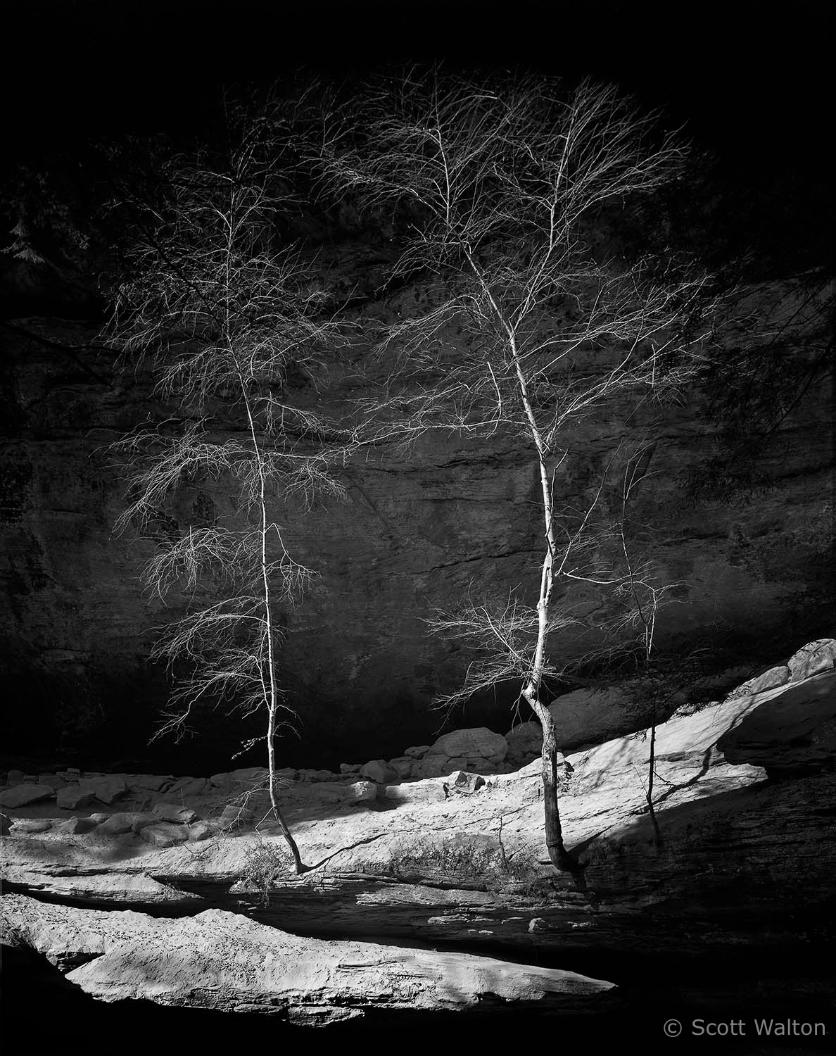 two-trees-old-mans-cave-hocking-hills-state-park-ohio-V2.jpg