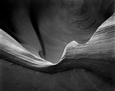 Wall Detail WaterholesCYN.jpg