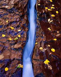 Blue Ribbon blue-ribbon-the-subway-zion-national-park-utah.jpg