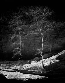 two-trees-old-mans-cave-hocking-hills-state-park-ohio-V2.jpg