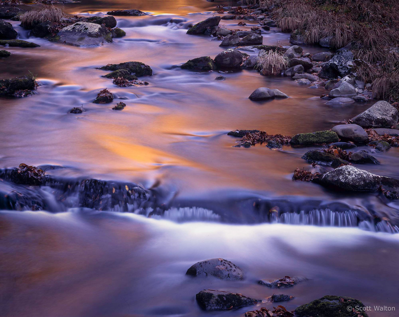 Smokies-OconolufteeRiverSunrise-homescan-velvia.jpg