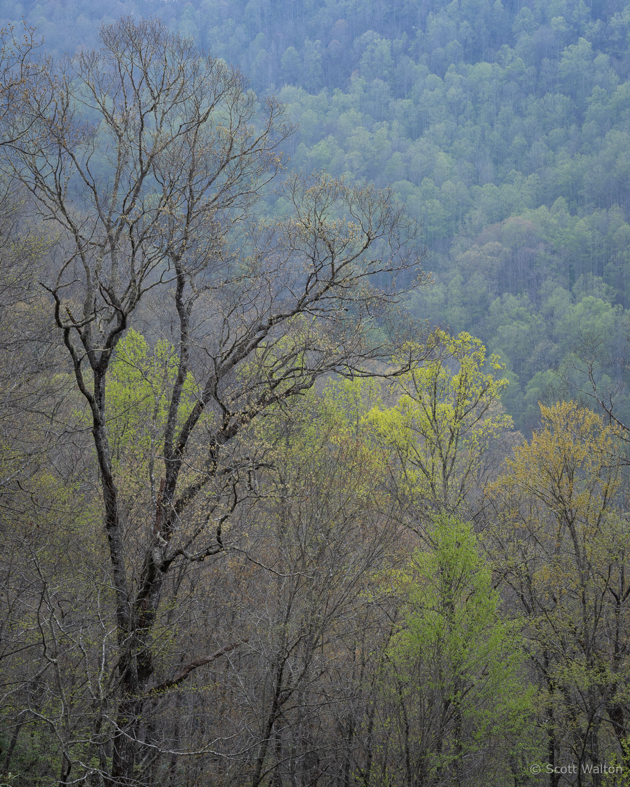 _IMG7960.jpg