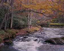 Small Rapids, Fall Smokies-Oconoluftee-River-fall-rightAngleBend-NoForeground-ektar100-homescan.jpg