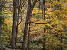 _IMG1435.jpg