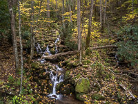 Cascade and Waterfall _IMG4996.jpg