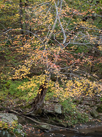 _IMG5087.jpg