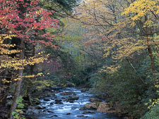 Autumn River Rapids _IMG8440.jpg