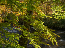 Transition _IMG8483.jpg