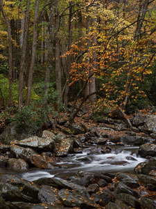 _IMG8822.jpg