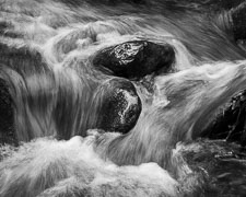 _IMG9672.jpg