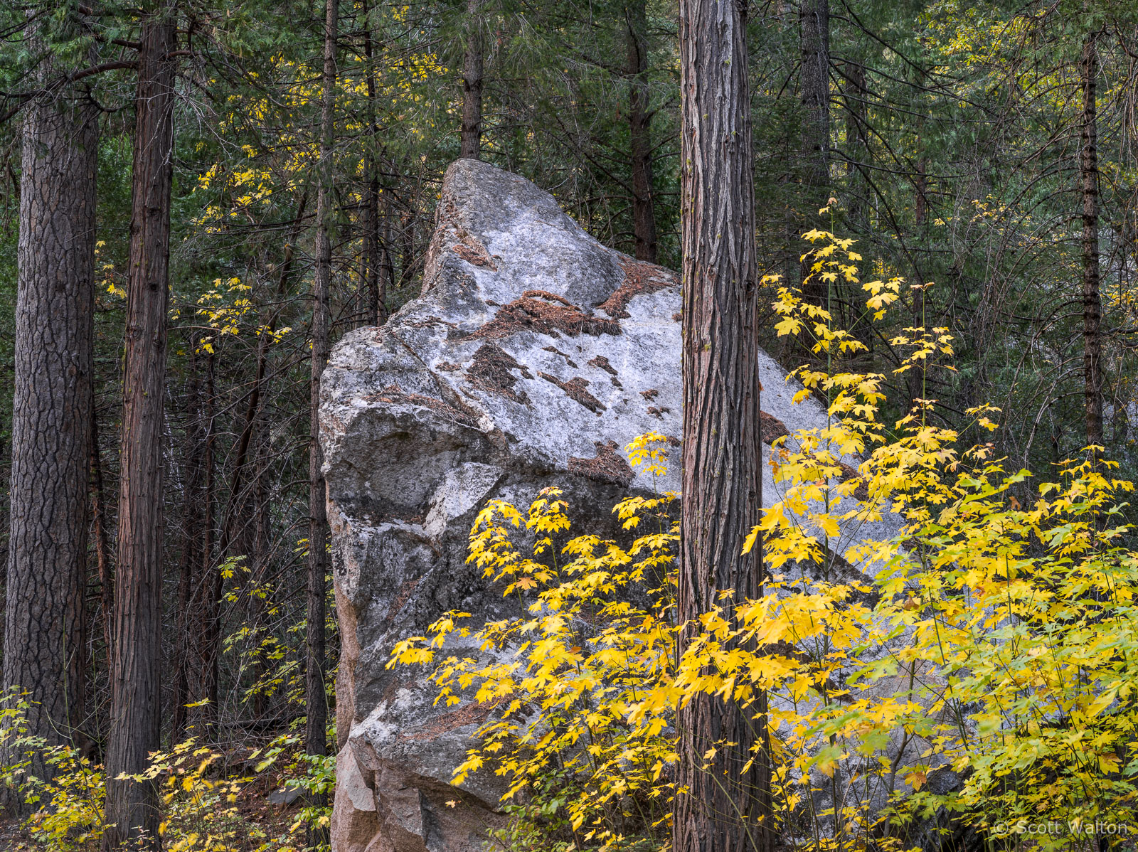 Granite-Boulder-Fall-Yosemite-National-Park-California.jpg