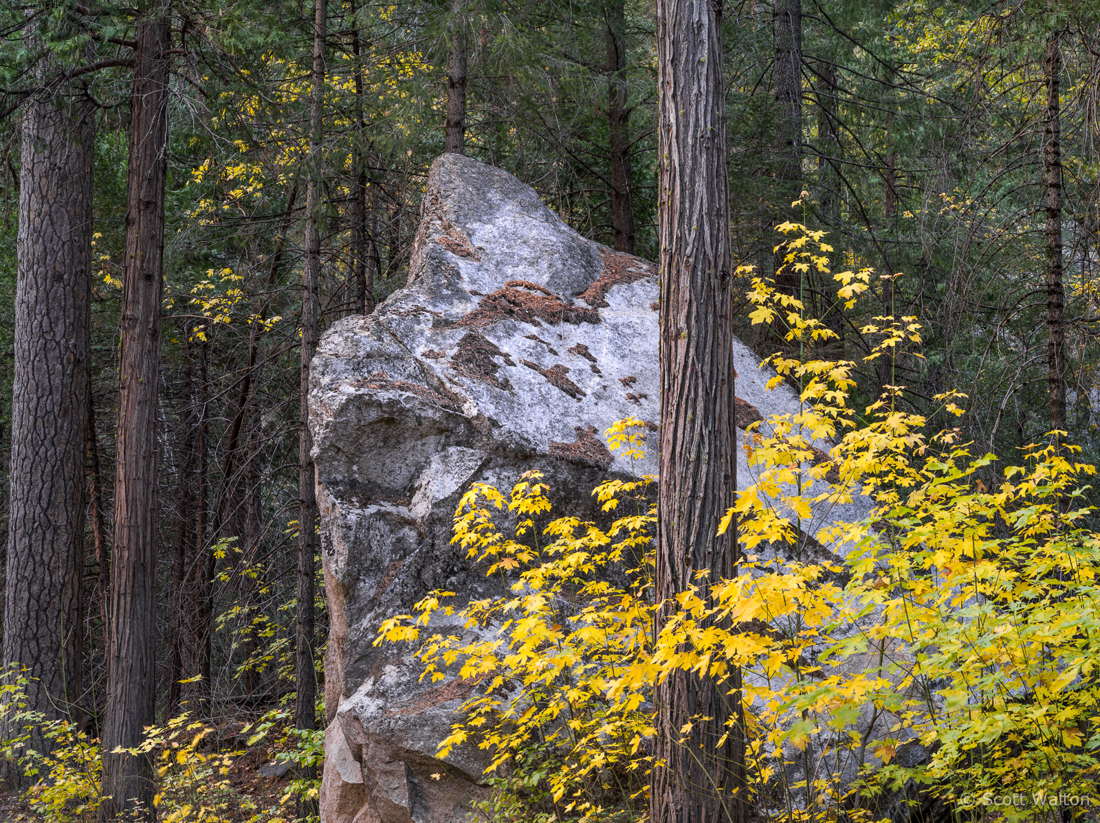 Granite-Boulder-Fall-Yosemite-National-Park-California.jpg