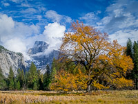 Elm-Clouds-Halfdome-Autumn-Yosemite-California.jpg
