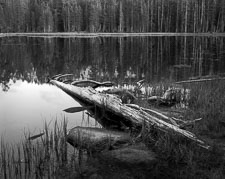 Yosemite-Siesta-Lake-BW-homescan-Tri-X.jpg