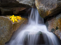 bridalveil-creek-cascade-fall-yosemite-california.jpg