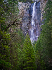 bridalveil-fall-pines-yosemite-california.jpg