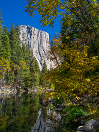 El Capitan and Merced River el-capitan-merced-autumn-yosemite-california.jpg