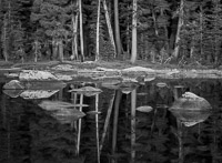 High Sierra Pond high-sierra-pond-forest-yosemite-national-park-california.jpg