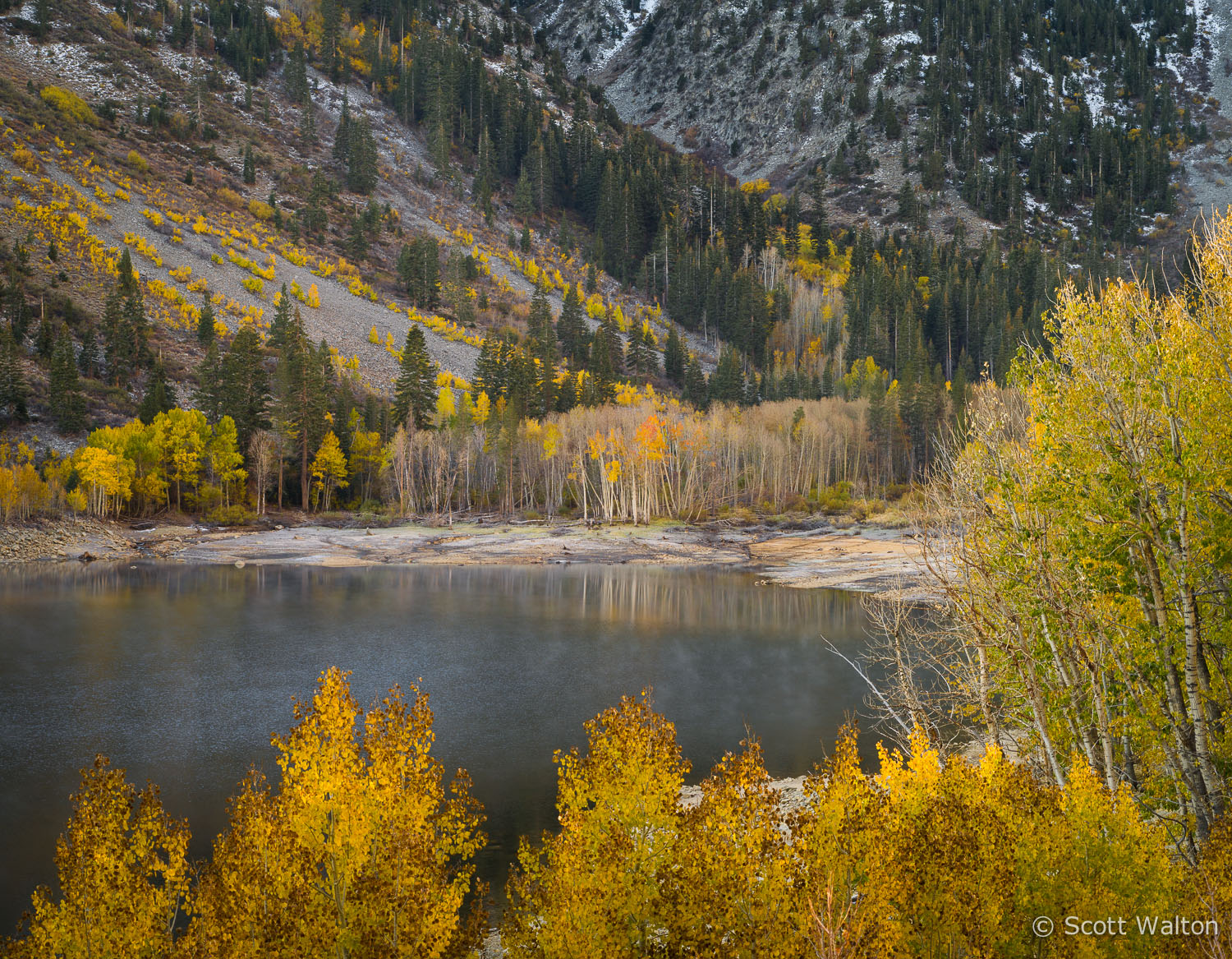 aspen-autumn-lake-dawn-lundy-canyon-california.jpg