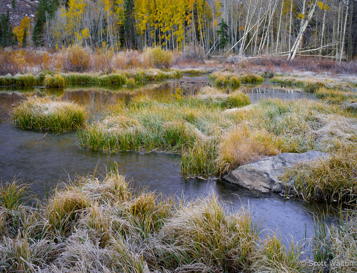 aspen-ice-pond-lundy-canyon-california.jpg