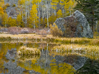 aspen-reflections-pond-lundy-canyon-california.jpg