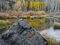 aspen-rock-ice-pond-lundy-canyon-california.jpg