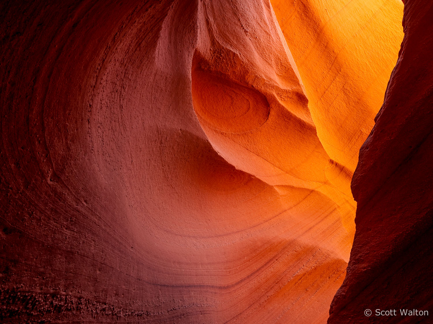 eagle-eye-lower-antelope-canyon-arizona.jpg