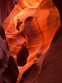 the-buffalo-lower-antelope-canyon-arizona.jpg