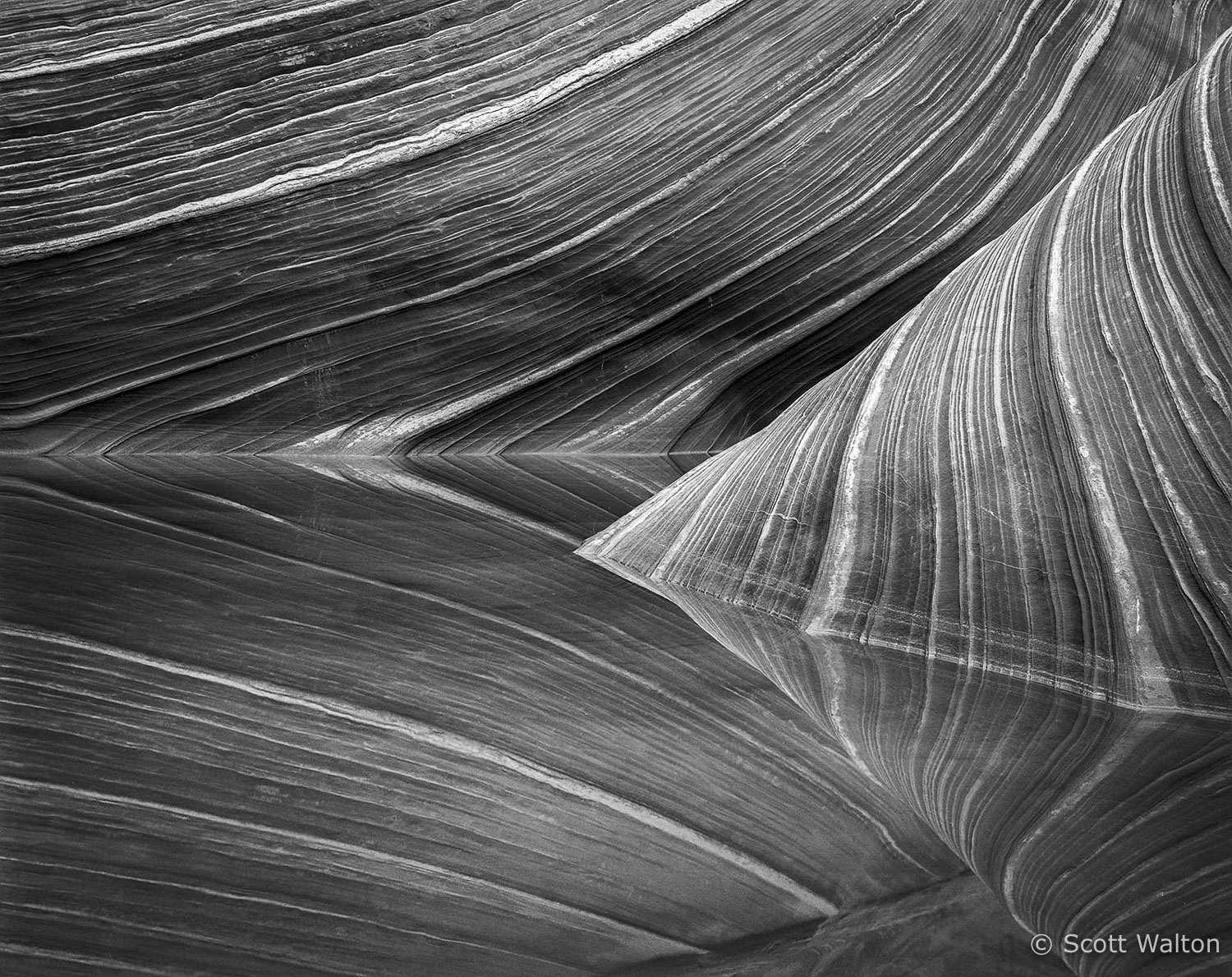 Coyote-Buttes-Lower-Pool-Reflection-Arizona-BW.jpg