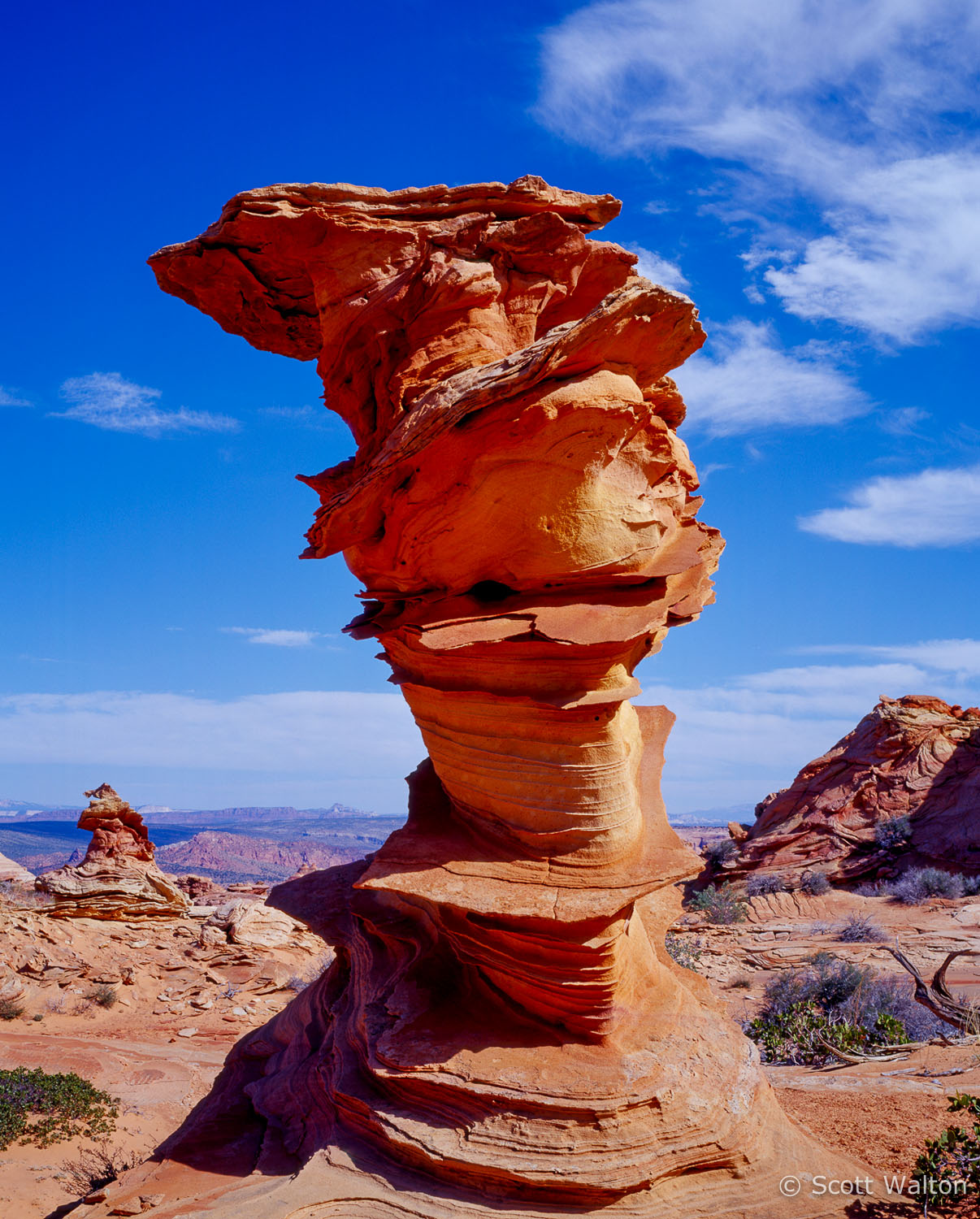 control-tower-coyote-buttes-arizona.jpg