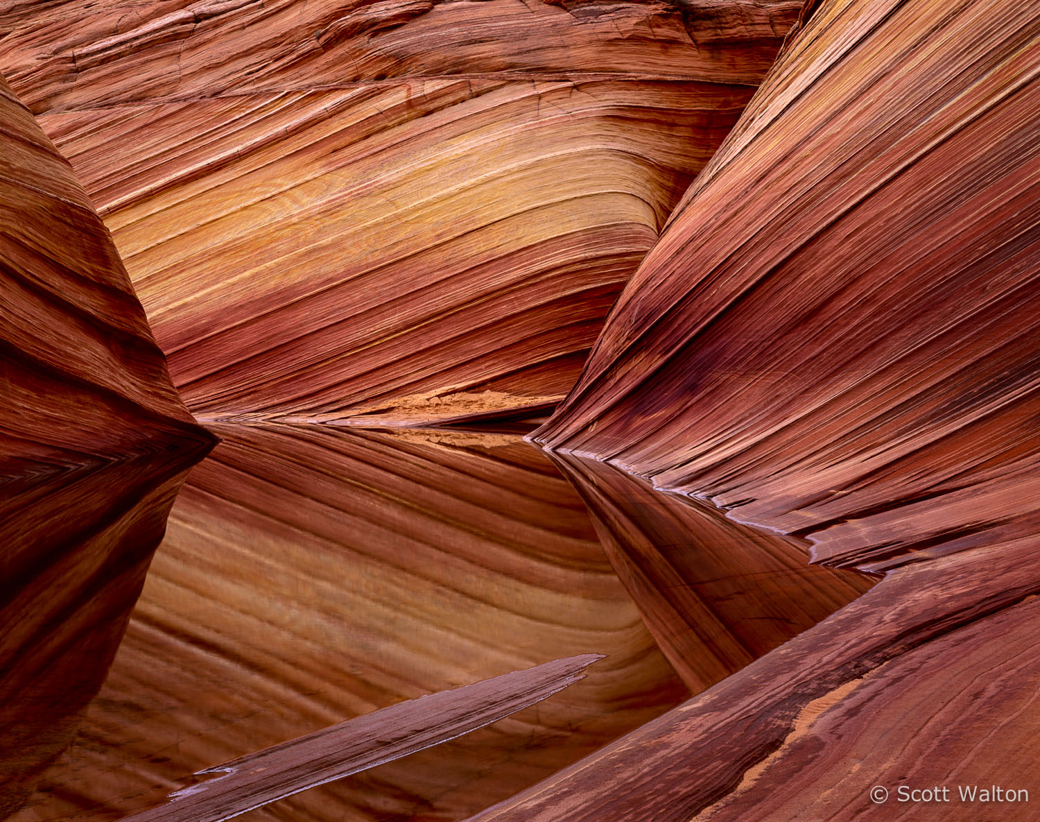 coyote-buttes-reflections-color-arizona.jpg