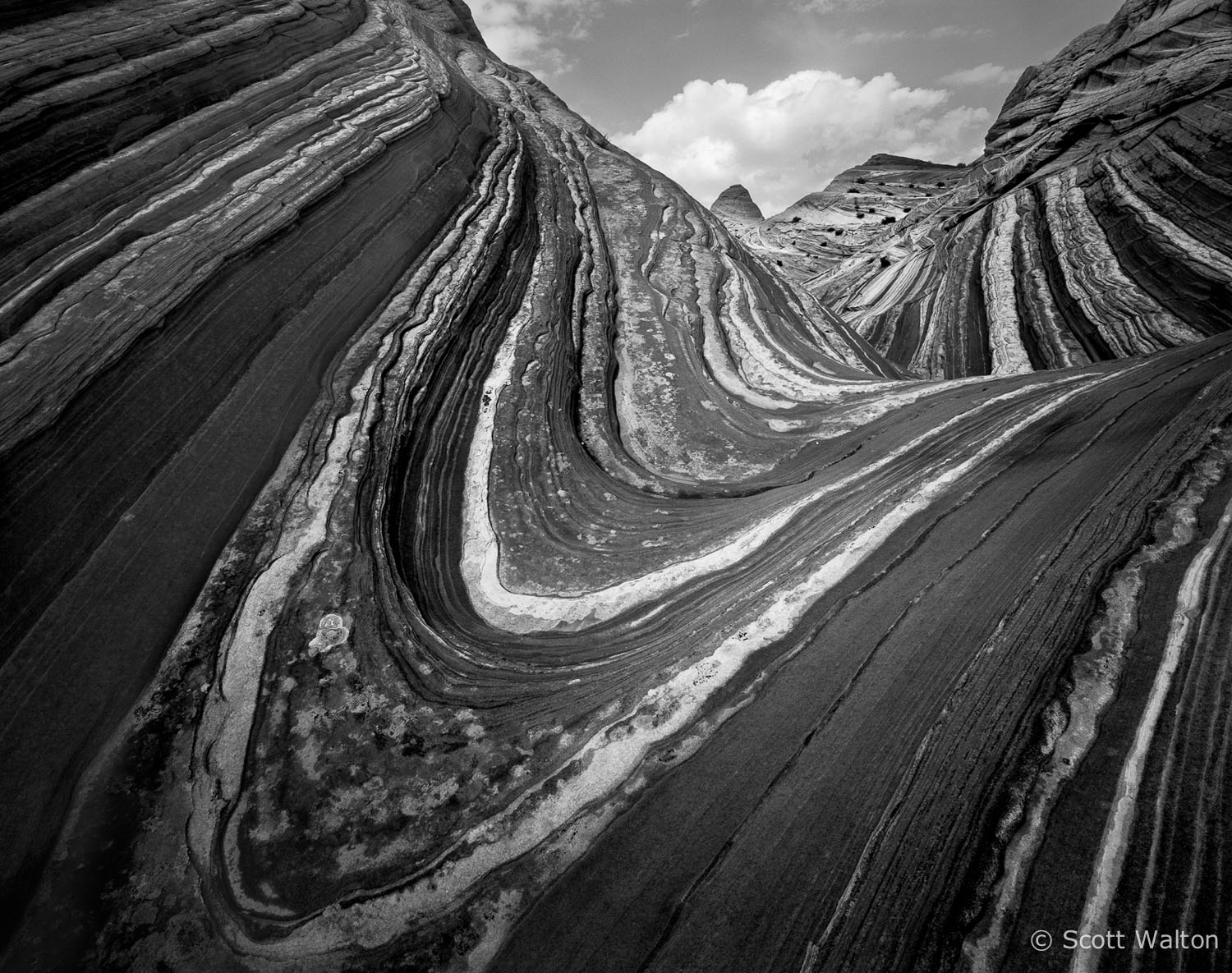 flow-patterns-bw-coyote-buttes-arizona.jpg